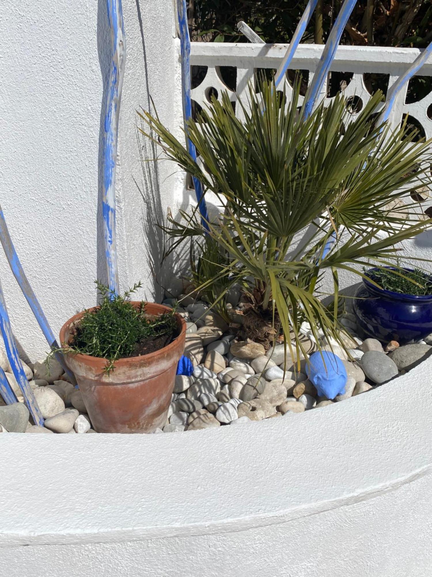 Bungalow Steps From Moraira Teulada Exterior photo